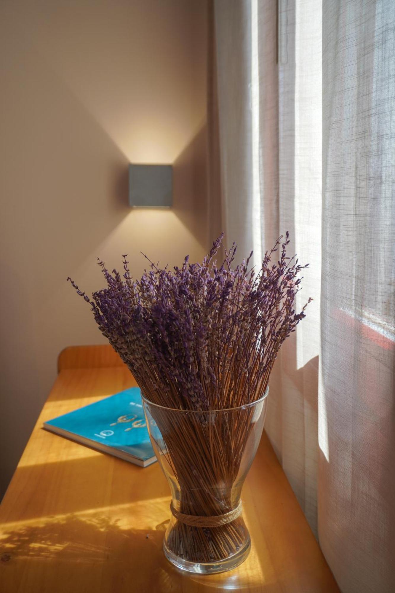 Arodou Studio&Apartment Mykonos Town Esterno foto